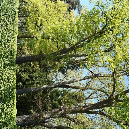 Forsthaus St. Hubertus 3* Groß Grönau