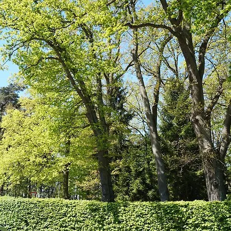 Szálloda Forsthaus St. Hubertus 3*