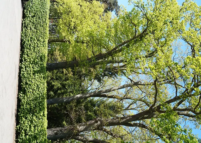 Forsthaus St. Hubertus 3* Groß Grönau