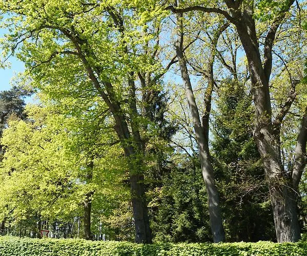 Hotel Forsthaus St. Hubertus 3*